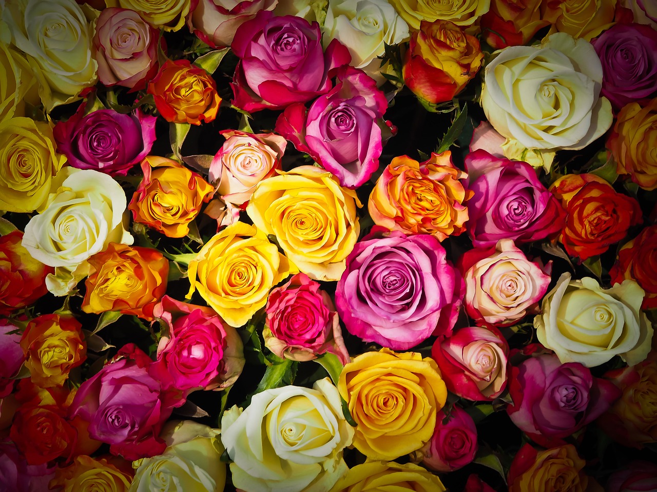 flowers online